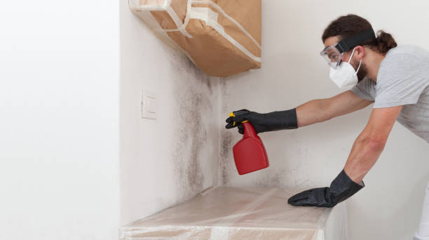 Professional Mold Remediation technician working in Glencoe, FL