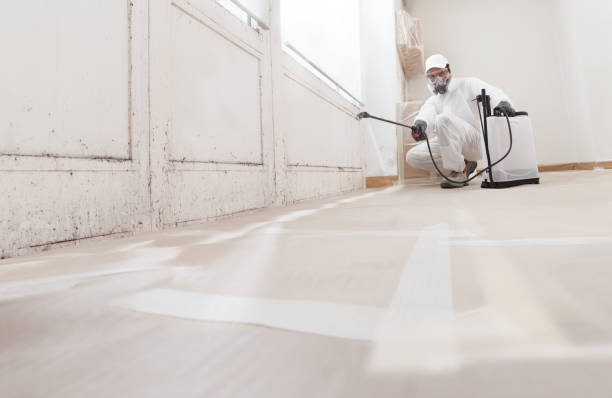 24/7 Emergency Mold Remediation experts in Glencoe, FL